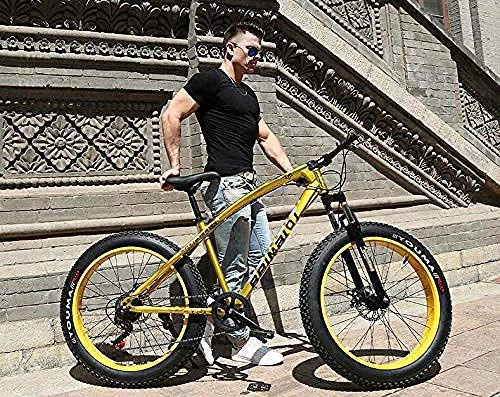 Fat Tyre Bike : CXY-JOEL Mountain Bikes Dual Disc Brake Fat Tire Cruiser Bike High-Carbon Steel Frame Adjustable Seat Bicycle-Blue_26 inch 7 Speed, Black