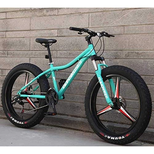 Fat Tyre Bike : TTZY Mountain Bikes, 26Inch Snowmobile, Dual Suspension Frame and Suspension Fork All Terrain Men's Mountain Bicycle Adult 7-10, 7Speed SHIYUE (Color : 27speed)