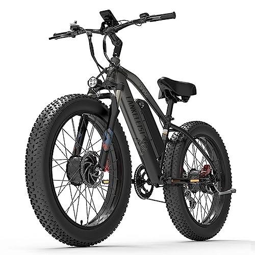 Bici elettriches : Bicicletta elettrica All-Terreno a doppio motore Lan ke leisi MG740PLUS anteriore e posteriore(Grey)