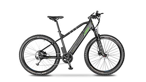 Bicicletas eléctrica : Argento Performance E-Bici, Adultos Unisex, Negro / Verde, Única Talla