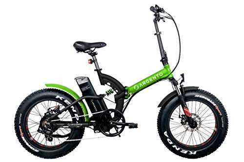 Bicicletas eléctrica : Bicicleta de plata BIMAX-S Metal Green 2020 (E-Bike plegable).