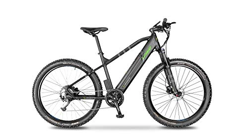 Bicicletas eléctrica : Bicicleta eléctrica Performance Mountainbike, Unisex, para Adulto, Color Negro y Verde, Talla única