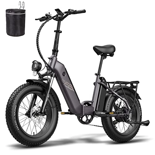 Bicicletas eléctrica : Fafrees 2 (gris)