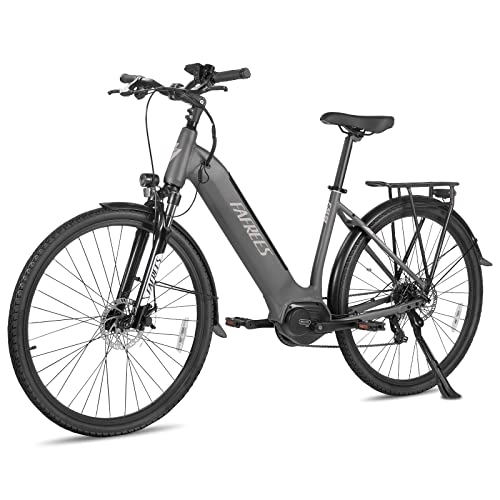 Bicicletas eléctrica : Kinsella FM9 con motor de accionamiento central (gris metalizado)