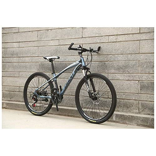 Mountain Bike : Chenbz Outdoor sports ForkSuspension Mountain Bike with 26Inch Wheels, HighCarbon Steel Frame, Mechanical Disc Brakes, And 2130 Speeds Drivetrain (Color : Grey, Size : 24 Speed)