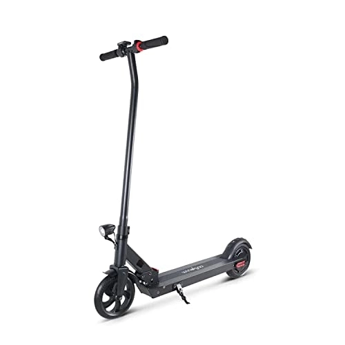 Electric Scooter : Windgoo T10 Electric Scooter For Teens, 250W Motor, 8-Inch Wheel, Dual Brake Mode, Three Speed Settings, Cruiser Mode, Foldable Scooter, Ideal for Short Commutes with LED Light