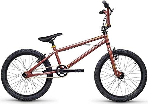 BMX : S'Cool XtriX 20 20R Vélo BMX pour enfant (26 cm, Marron / doré brillant)