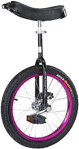 Monocycles : ErModa Exercice d'auto-équilibrage des pneus de Montagne monocycle, Sports de Plein air et Exercice de Fitness, adapté aux Adultes / Jeunes Adultes (Color : Purple, Size : 16inch)