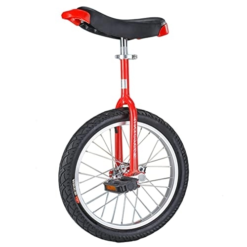 Monocycles : Monocycle pour Les Enfants et Les Adultes Monocycle pour adulte 24 pouces, grand monocycle pour hommes / femmes / grands enfants / adolescents, vélo à une roue avec cadre en acier et jante en alliage, char