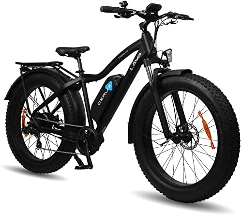 Vélos électriques : DERUIZ Amber Fat Bike Electrique, 20" Velo Electrique Homme Amovible Batterie au Lithium-ION 48V 624Wh, Shimano 7 Vitesses, E-Bike pour Adulte
