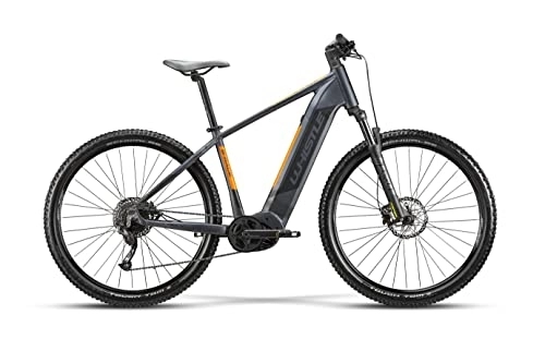 Vélos électriques : Whistle Nouvelle E-BIKE 2022 B-RACE A6.2 9 V moteur BOSCH mesure 46, Gris / orange, M