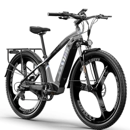 PRASHANT Bici elettriches PRASHANT Bike elettrica CM520, 29 '' Off-road Mountainbike per uomo adulti, 48 V14 AH E-Bike, freno a disco idraulico, design luminoso unico (grigio)
