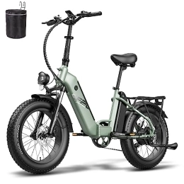 Fafrees Bicicletas eléctrica 2 (verde)