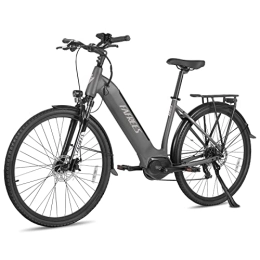 Kinsella Bicicletas eléctrica Kinsella FM9 con motor de accionamiento central (gris metalizado)