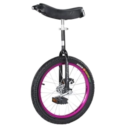  Monocycles Roue Monocycle Montagne Pneu Vélo Auto Équilibrage Exercice Vélo Sports de Plein Air Fitness Exercice (Violet 16 Pouces)