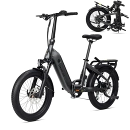 DERUIZ vélo DERUIZ E Bike Vélo de ville électrique pliant 20" pour homme et femme, moteur moyeu arrière 55 N.m, batterie 48 V / 500 Wh, freins hydrauliques, Shimano Altus 8 vitesses, portée maximale jusqu'à 120 km