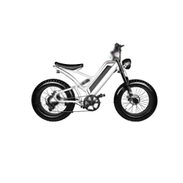 HESND Vélos électriques HESND ddzxc Vélo électrique 50, 8 cm avec batterie au lithium et motoneige électrique en alliage d'aluminium