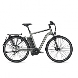 Raleigh Vélos électriques Vélo électrique Raleigh STOKER S10 EVO 28" gris 2017 - 55 cm