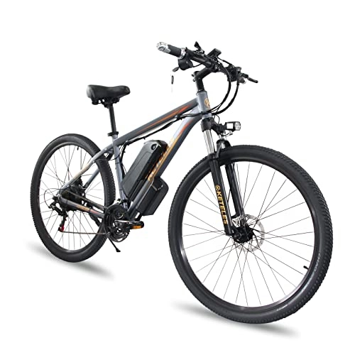 Bici elettriches : 26” / 29‘’ Bicicletta Elettrica E-Mountain Bike, 18A / 23A 48V Batteria Removibile, City Bike a Pedalata Assistita Unisex Adulto (29''23A, Grigio)