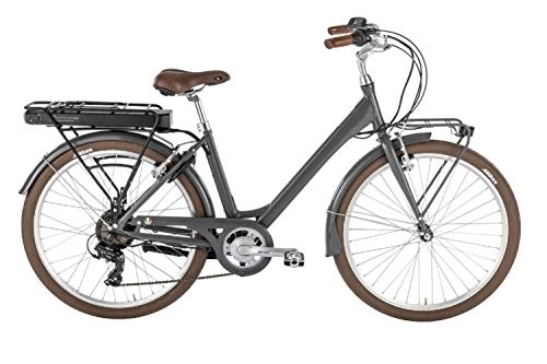 Bici elettriches : Alpina Bike EVOL A4, Bicicletta Elettrica Unisex Adulto, Grigio, 460 mm