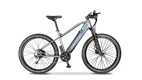 Bici elettriches : Argento Bicicletta elettrica Performance Mountainbike, Unisex Adulto, Grigio e Blu, taglia unica