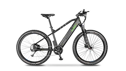 Bici elettriches : Argento Performance+, Bicicletta elettrica Mountainbike Unisex Adulto, Verde, Taglia Unica