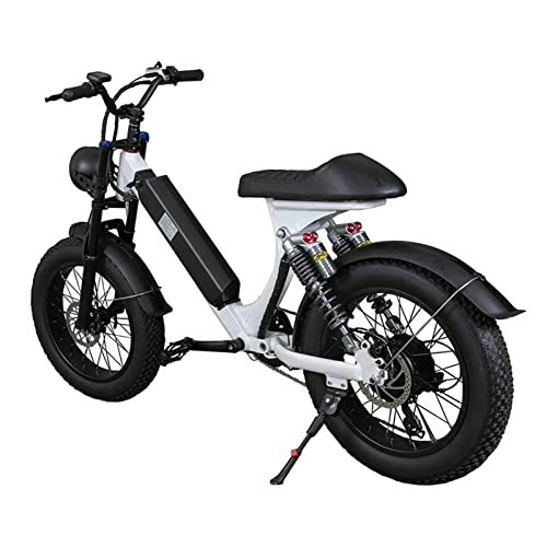 Bici elettriches : AWJ Bici elettriche per Adulti Mountain Bike elettrica per Adulti 28 mph Ebike 750 W Motore 20 Pollici Fat Tire con Batteria al Litio Rimovibile 48V15Ah Bicicletta elettrica per pendolari