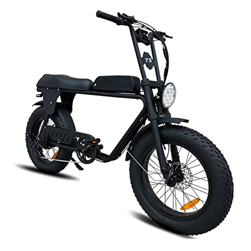 Bici elettriches : Bici elettrica 1000W Motore 4.0 Fat Tire Ebike 48V 17Ah Mountain Bike Snow Bike Sport Ciclismo Bici elettriche (Colore : 48v 1000w 13Ah)