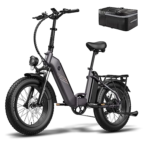 Bici elettriches : Fafrees FF20 Polar E-Bike pieghevole 20 pollici Fatbike con 48 V 10, 4 Ah x 2 batterie, max 65 N.m biciclette elettriche pieghevoli 25 km / h, bicicletta pieghevole per adulti 150 kg