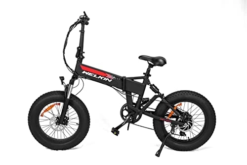 Bici elettriches : Fat Bike Elettrica WKES001, Batteria da 48 V 10.4 Ah, Mountain Bike Per Adulti da 20 * 4 Pollici, Sia Uomini Che Donne Possono Usare