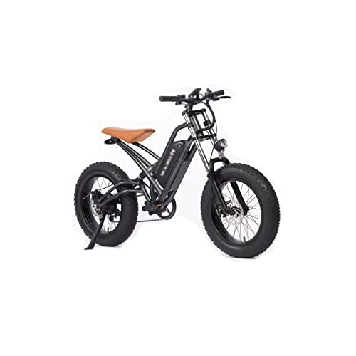 Bici elettriches : IEASEddzxc Electric Bicycle Electric Bicycle Snow Beach Tire Lithium Battery Fat Tire Beach Variable Speed Electric Bicycle Snowmobile