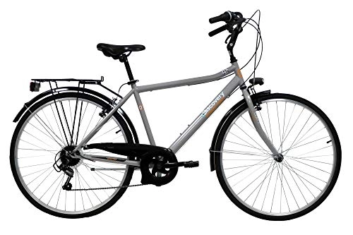 Biciclette da città : Discovery 28 Trek Acciaio Uomo, Bici Trekking Manhattan 28'' Cambio Shimano 6 velocità, Colore Metal, Silver Metallizzato