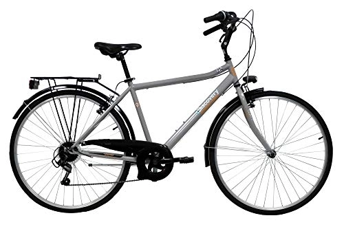 Biciclette da città : Discovery Bicicletta Uomo, Bici Trekking Manhattan 28'' Cambio Shimano 6 velocità, Colore Metal, Silver Metallizzato, 28