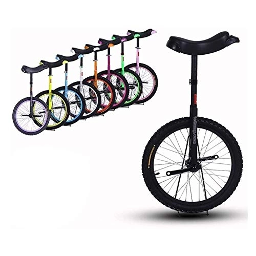 Monocicli : AHAI YU Bicicletta di Esercizio del monococco della Ruota del Corpo, per Il Monociclo Unisex di Ricreazione con Pedali Antiscivolo, Facile da Usare, 18 Pollici (Color : Black)