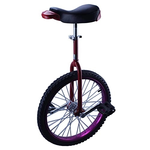 Monocicli : HXFENA Monociclo, Bicicletta a Ruota Singola Competitiva Bilanciamento Esercizio Di Ciclismo per Bambini Principianti Altezza Adatta 110-125 cm / 14 Inches / Purple