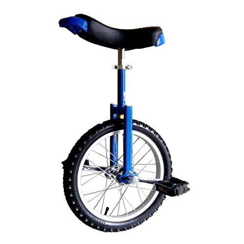 Monocicli : HXFENA Monociclo, Ruota Trainer Equilibrio Regolabile Esercizio Di Ciclismo Competitivo a Ruota Singola Acrobazie Bicicletta Sella Ergonomica Sagomata / 20 Inches / Blue