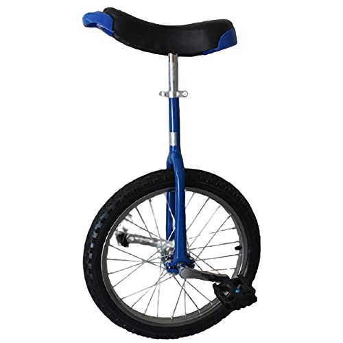 Monocicli : Wheel Trainer Monociclo Equilibrio Ciclismo Esercizio, Monociclo per Adulti Principiante Sport all'Aria Aperta Fitness (Color : Blue, Size : 24 inch) Durevole (Blue 24inch)