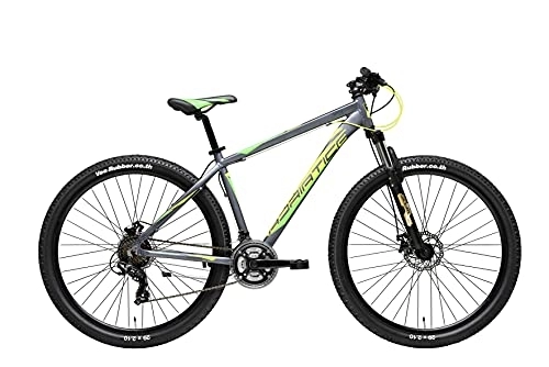 Mountain Bike : Adriatica Mountain bike Wing RCK 21 marce, freni a disco, colore grigio / giallo, dimensioni del telaio: 42 cm