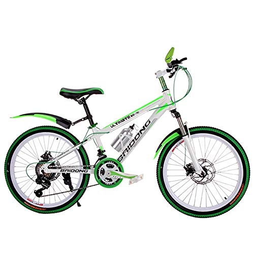 Mountain Bike : AI-QX Bici Bicicletta MTB Mountain Bike 26" Pollici Full Susp Biammortizzata, Doppio Ammortizzatore, Telaio Alluminio, Freni a Disco, Verde