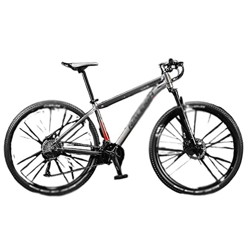 Mountain Bike : Bicycles for Adults 29 Inch Shock Absorber Mountain Bike Aluminum Alloy Bicycle Female and Male 33 Variable Speed Road Bike (Color : Gray, Size : 26inch 24speed)
