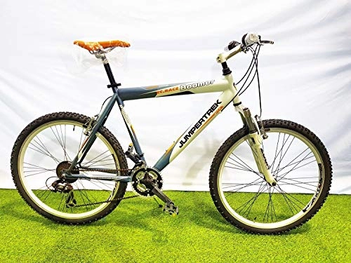 Mountain Bike : CINZIA Bici Bicicletta 26' Modello Boomer MTB Mountain Bike (Blu-Bianco, 47 H)