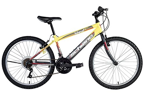 Mountain Bike : F.LLI Schiano Bici Mountain Bike Integral Uomo Power Antracite / Giallo 26''
