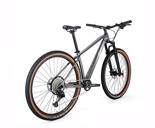 Mountain Bike : ICE Mt10, Bicicletta Unisex-Adulto, Grigio, 19