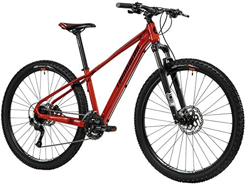 Mountain Bike : LOMBARDO BICI SESTRIERE 350 Ruota 29 24V SUNTOUR XCM HLO New Gamma 2022 (Red Black Glossy, 51 CM)
