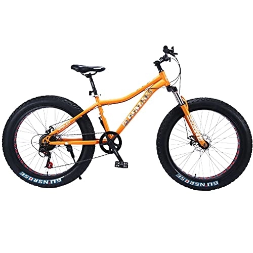 Mountain Bike : Mountain bike da 66 cm, moto da spiaggia, moto da neve, cambio di velocità, pneumatici allargati anteriori e posteriori a disco (21 velocità)