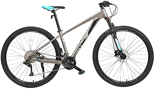 Mountain Bike : WENHAO Adult 33 Speed ​​Velocità variabile Mountain Mountain Bike, Bicicletta in lega di alluminio Bicicletta da 29 pollici Sport Sport Grigiando in bicicletta, for ambiente urbano e pendolarismo da e