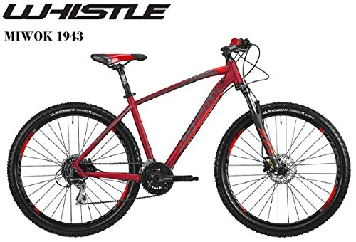 Mountain Bike : Whistle Miwok 1943 Gamma 2019 (S)