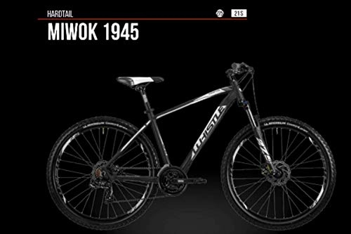 Mountain Bike : WHISTLE MIWOK 1945 GAMMA 2019 (41 CM - S)
