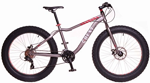 Bicicletas de montaña : Crest Bicicleta Fat Bike Fat 4, 1 24v griss 17" Aluminio