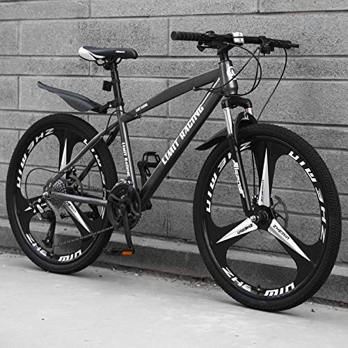 Bicicletas de montaña : DGAGD Bicicleta de montaña de 24 Pulgadas Bicicleta de Tres Ruedas de Velocidad Variable de una Rueda para Adultos-Gris_21 velocidades